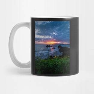 Trinidad Seascape Mug